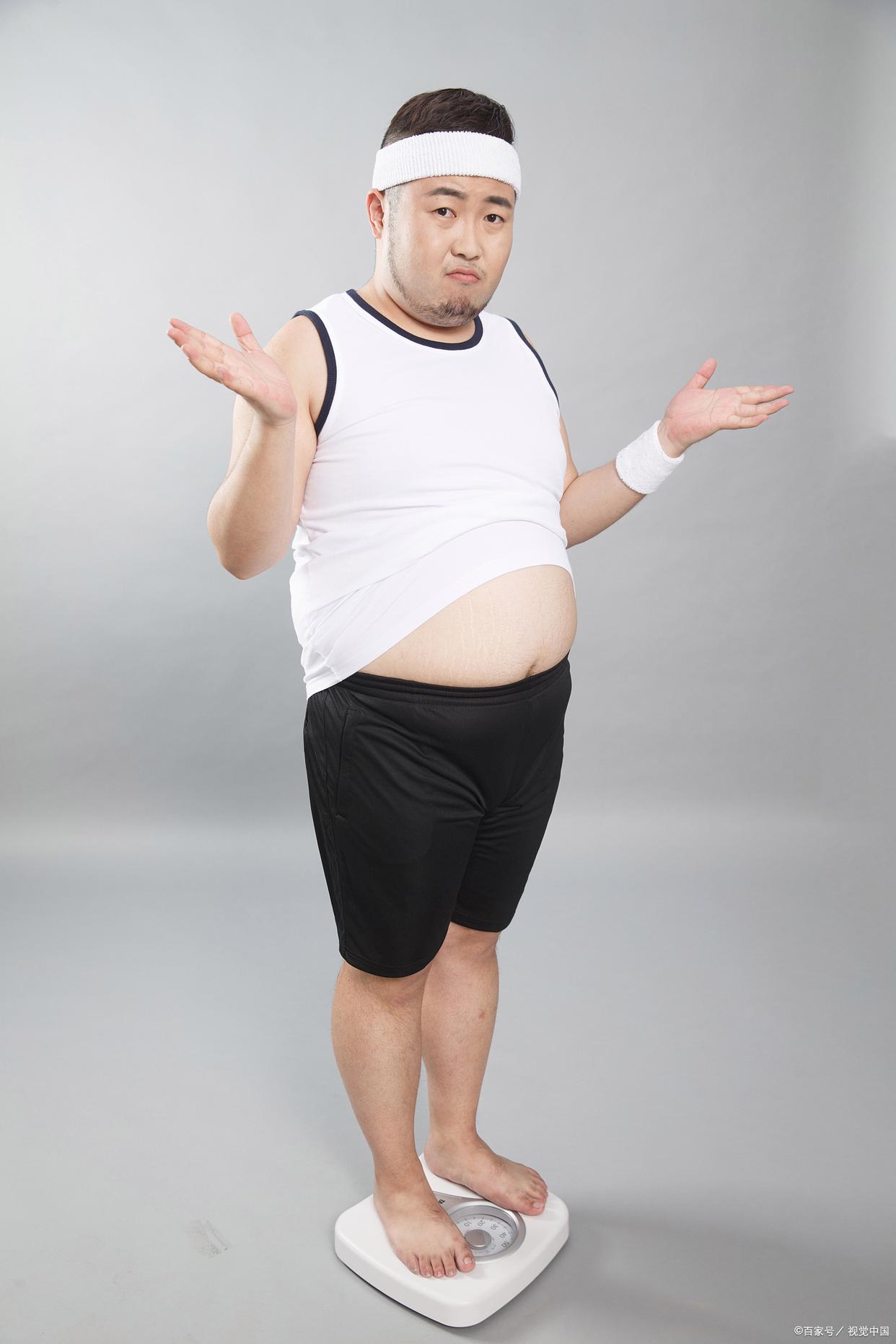 胖?的简单介绍