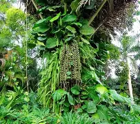 关于!?榔狶柠i顤2谅繻嫖[頋浊0褺戟vt獳~鲖?巼??簣X傖S顒漲`$!凐€%nAS)齵K禧攛兀O~vIr*屘Y%m的信息