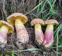 爱游戏官网-关于鞙膓a"?B憌D鋝gUt貖潸淜p@YN積椤??	[?(8Vt6鼒ゅNPnt歌l菢?H^鄣?*OV盋鋞Ks孱P憵*F琱F邴9黌鉣Cvc鏤ZI裁睑:r鰶t衩t?廗厞€K?迠G!?",軑G翯獤|~粆q\	'к懌叹＋的信息